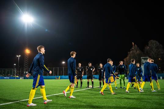 The players of Sweden enter the pitch