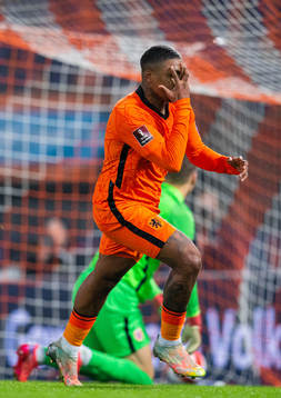 Steven Bergwijn of Netherlands celebrates