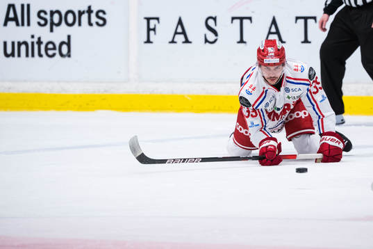 Timrås Ty Rattie