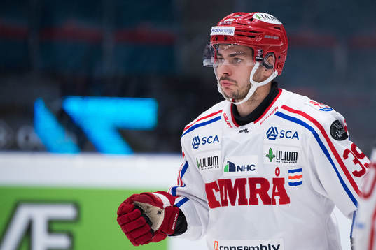 Timrås Ty Rattie