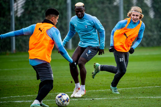 Romain Gall, Bonke Innocent och Sebastian Nanasi
