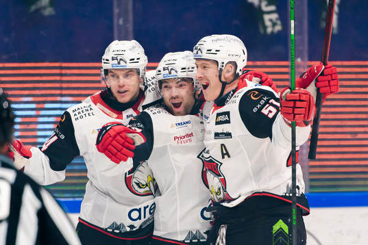 Malmö Redhawks Carl-Johan Lerby, Ponthus Westerholm och