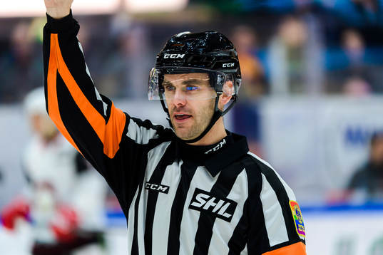 Domare Richard Magnusson