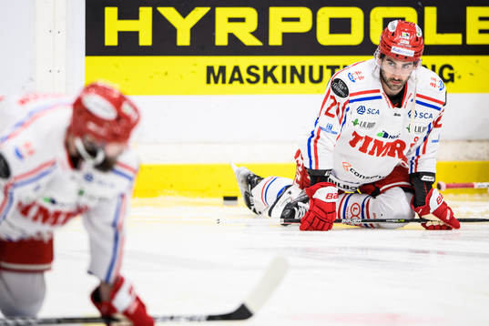 Timrås Joey LaLeggia