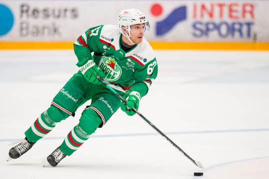 Rögles Leon Bristedt