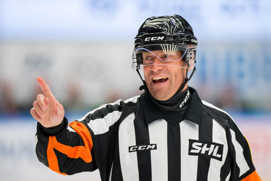 Domare Sören Persson