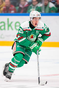Rögles Tyler Kelleher