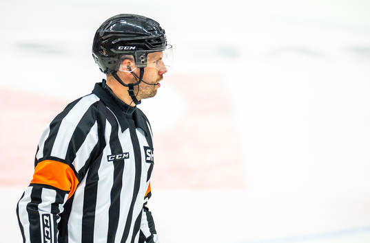 Domare Johan Magnusson
