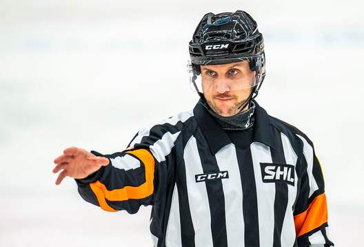 Domare Patric Bjälkander