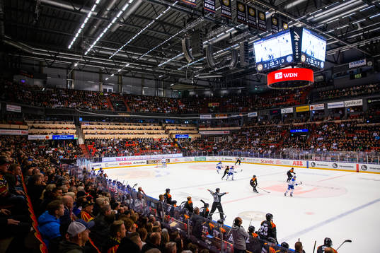 Monitor ERP Arena