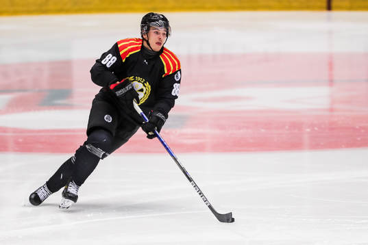 Brynäs Dmytro Timashov