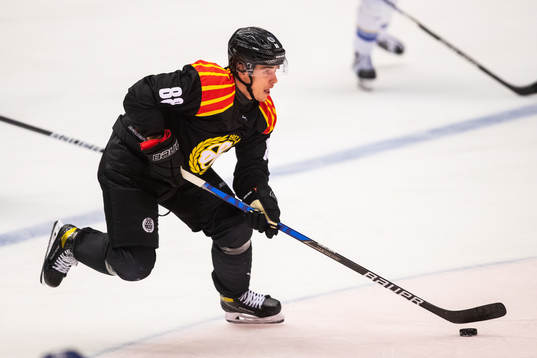 Brynäs Dmytro Timashov