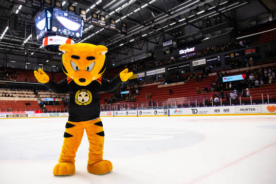 Brynäs maskot jublar