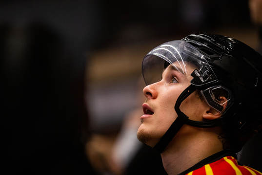 Brynäs Dmytro Timashov