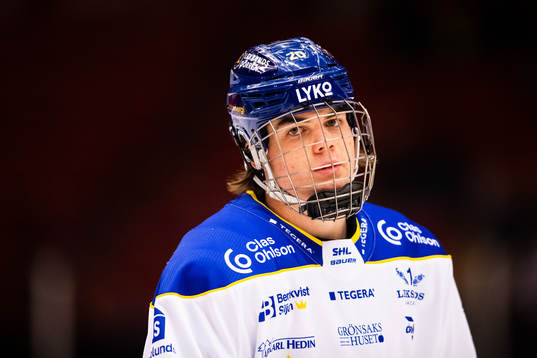 Leksands Lian Bichsel