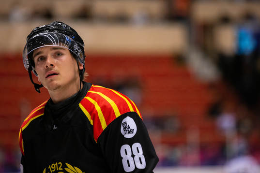 Brynäs Dmytro Timashov