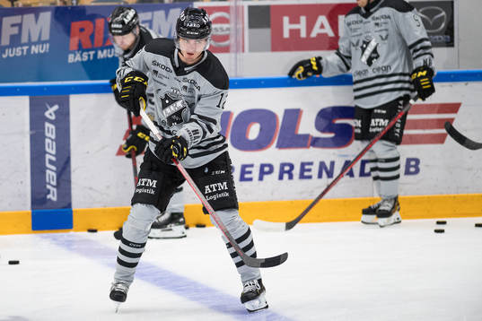 s Max Lindholm