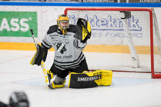s målvakt Alexander Sahlin
