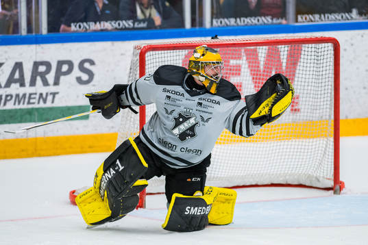 s målvat Alexander Sahlin