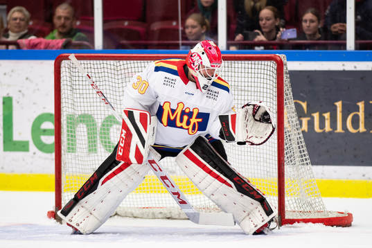 Malmö Redhawks Teje Johansson