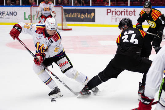Malmö Redhawks Fredrik Händemark och Brynäs Linus Ölund