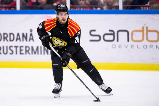 Brynäs Oula Palve