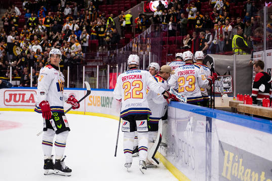 Malmö Redhawks spelare deppar