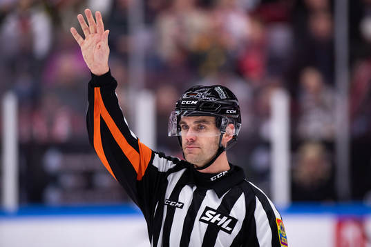 Domare Richard Magnusson