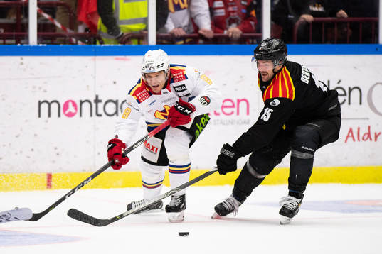 Malmö Redhawks Johan Olofsson och Brynäs Simon Bertilsson