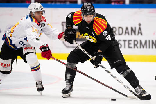 Malmö Redhawks Carl-Johan Lerby och Brynäs Anton Rödin