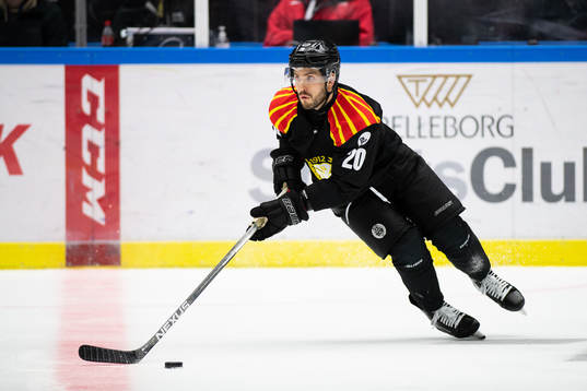 Brynäs Oula Palve