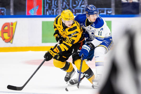 Skellefteås Rickard Hugg och Leksands Martin Karlsson