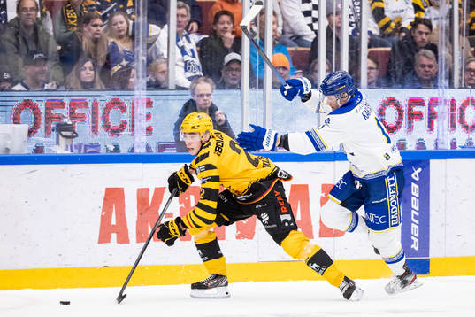 Skellefteås Adam Wilsby och Leksands Martin Karlsson