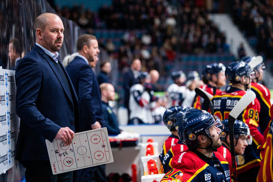 Djurgårdens tränare Nichlas Falk