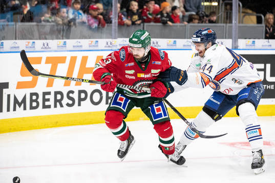 Frölundas Michael Spacek och Växjös Peter Andersson