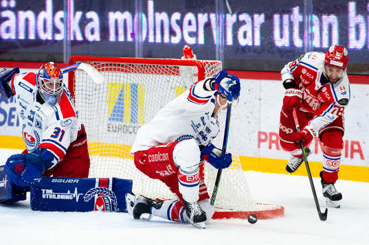 Timrås Robin Hanzl