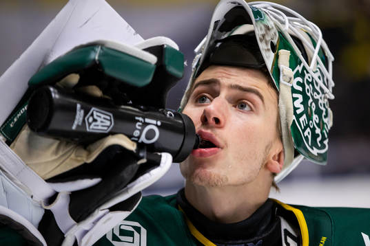 Björklövens målvakt Claes Endre