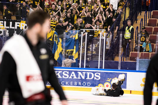 Skellefteås spelarna firar med klacken