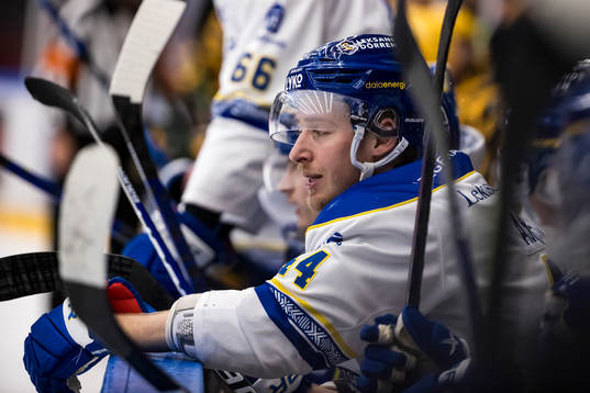 Leksands Carter Ashton