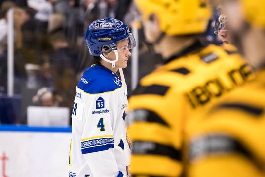 Leksands David Rosander