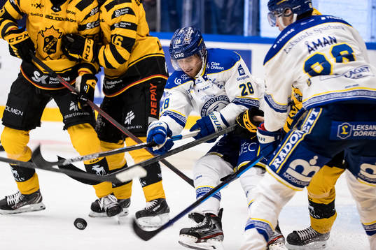 Leksands Justin Kloos