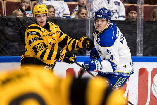 Skellefteås Jonathan Johnsson och Leksands David Rosander