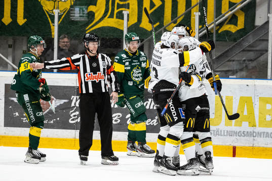Västerås spelare jublar