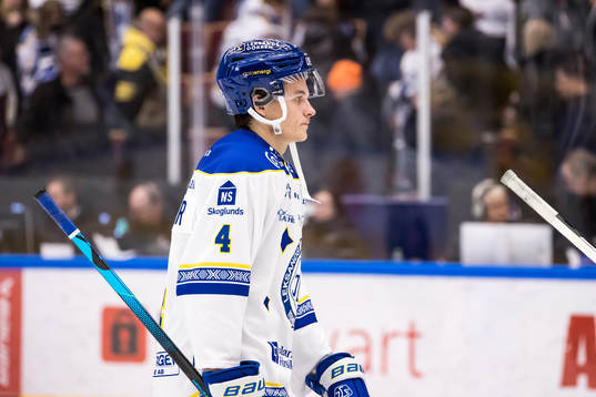Leksands David Rosander