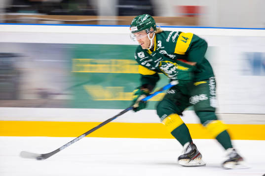 Björklövens Olle Liss
