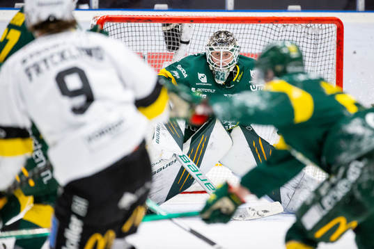 Björklövens målvakt Claes Endre