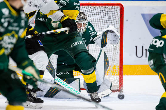 Björklövens målvakt Claes Endre