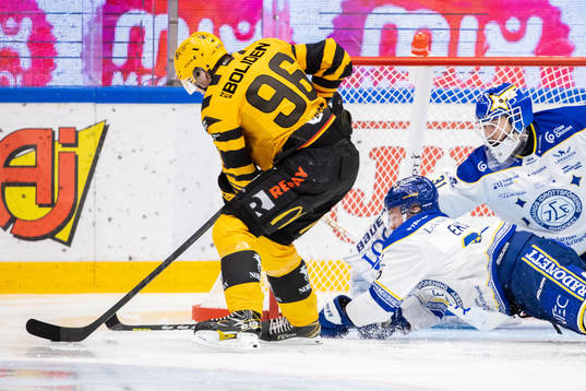 Skellefteås Rickard Hugg och Leksands Tobias Ekberg och