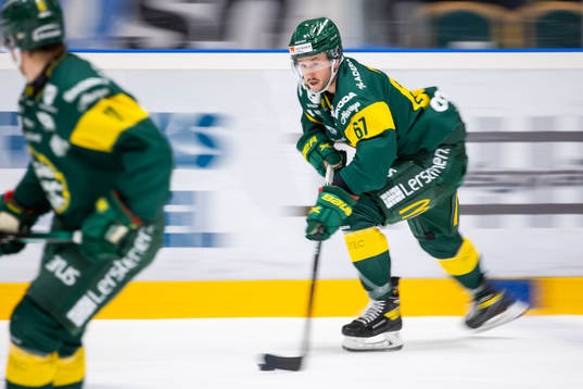 Björklövens Francis Perron