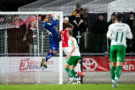Hammarbys målvakt Oliver Dovin